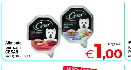 Alimento per cani