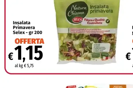 Insalata primavera