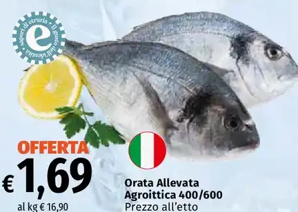 Orata Allevata