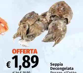 Seppia Decongelata