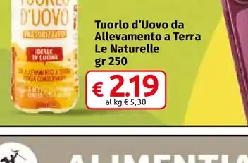 Tuorlo d’Uovo da Allevamento a Terra
