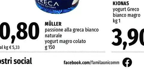 yogurt magro colato alla greca