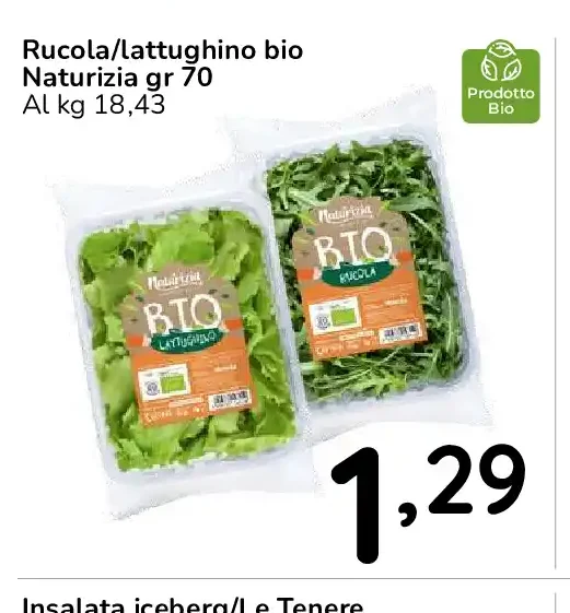 Rucola/lattughino bio Naturizia