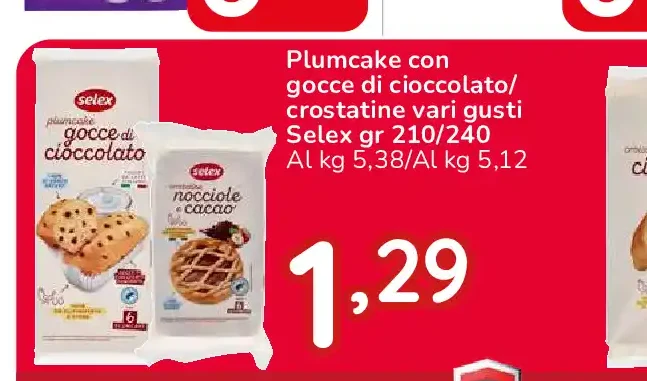 Plumcake con gocce di cioccolato Selex