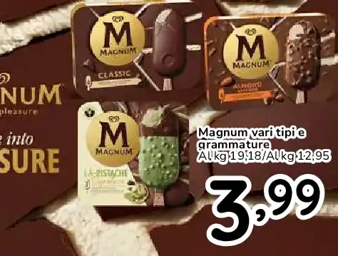 Magnum vari tipi