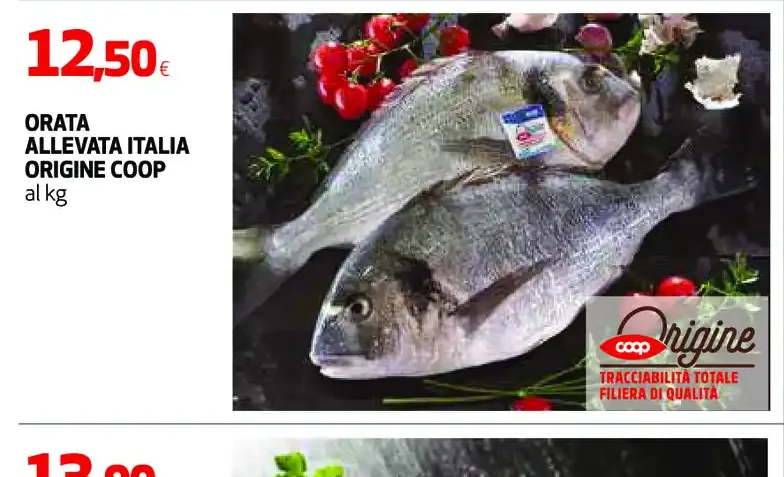 Orata allevata Italia origine Coop