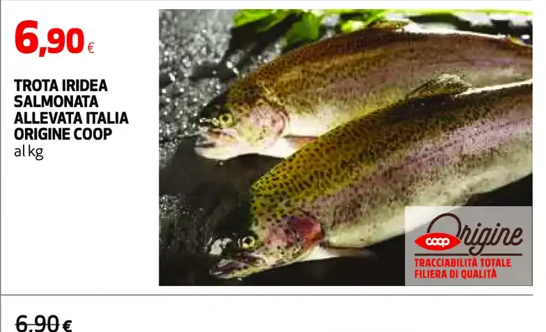 Trota iridea salmonata allevata Italia origine Coop