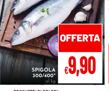 Spigola 300/400