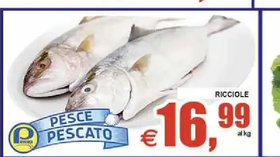 Ricciole