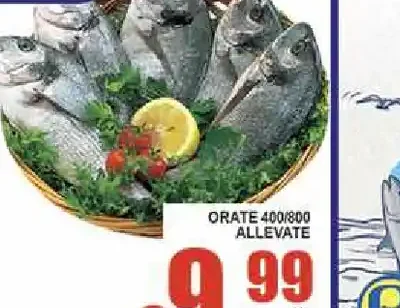 Orate allevate