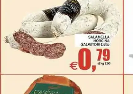 Salamella norcina