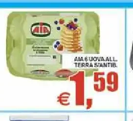 Uova allevate a terra