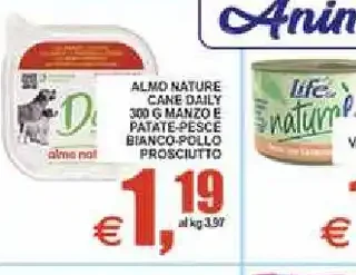Cibo umido cane