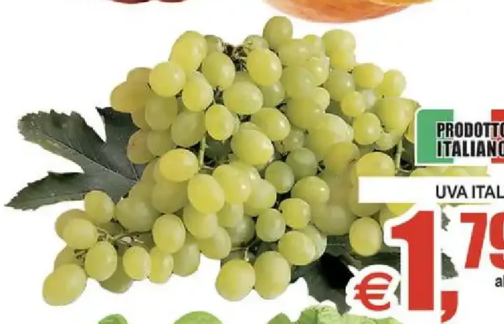 Uva Italia