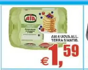 Uova allevamento a terra