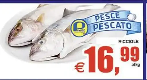 Ricciole