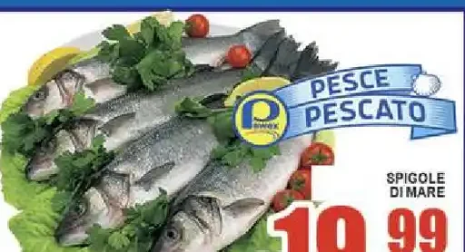 Spigole di mare