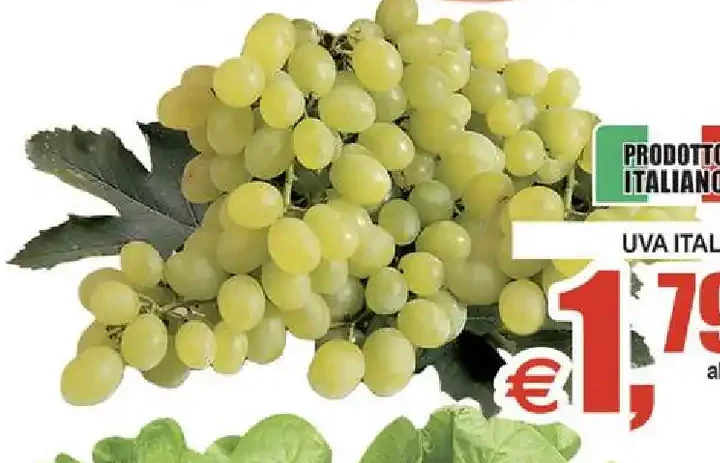 Uva Italia