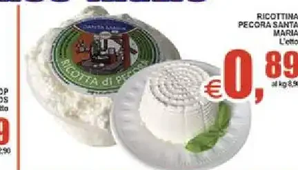 Ricottina pecora Santa Maria