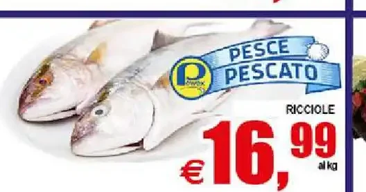 Ricciole