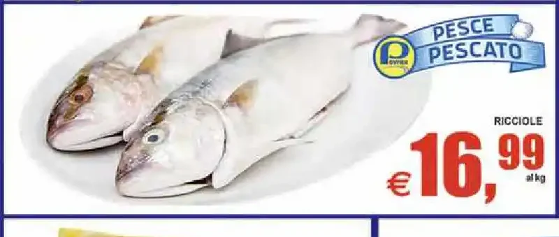 Ricciole