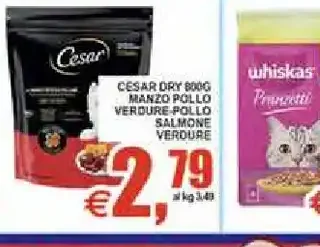 Cibo secco per cani