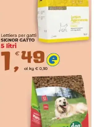 Lettiera per gatti
