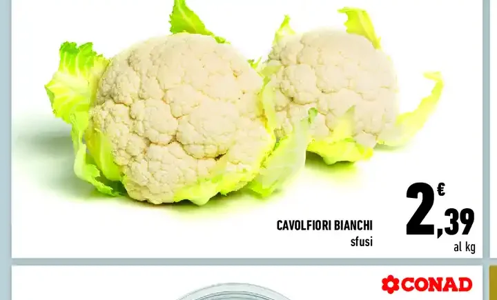 Cavolfiori bianchi