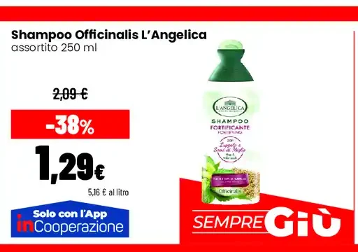 Shampoo Officinalis L'Angelica