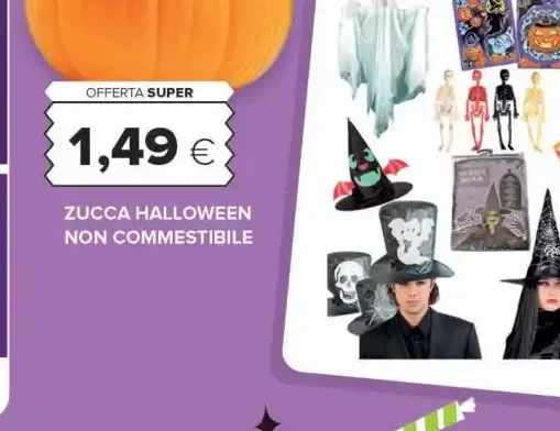 Zucca Halloween non commestibile