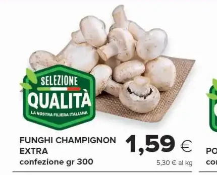 Funghi champignon extra