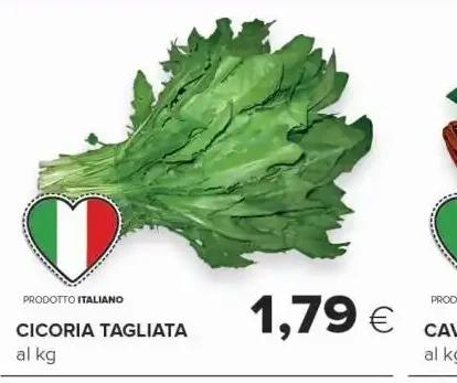 Cicoria tagliata