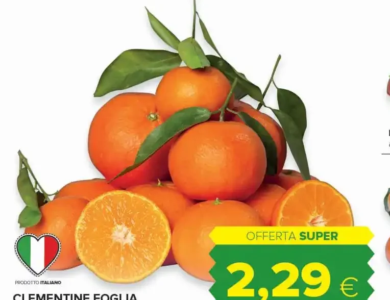 Clementine foglia