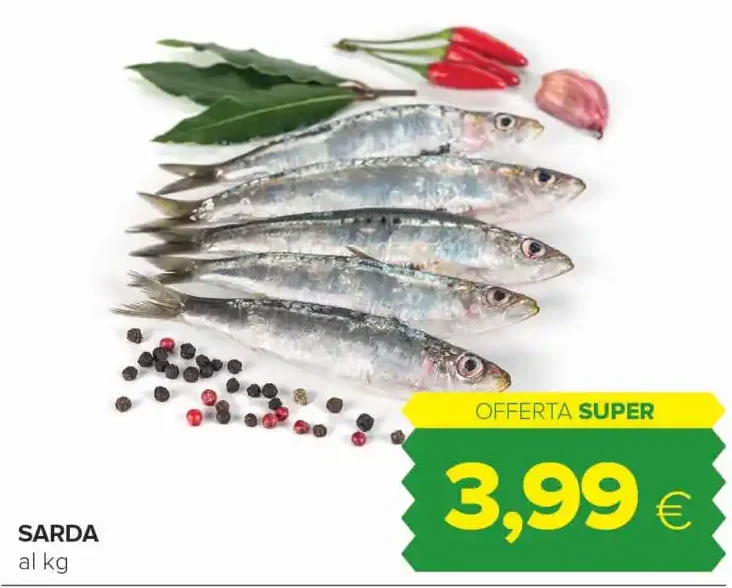 Sarda