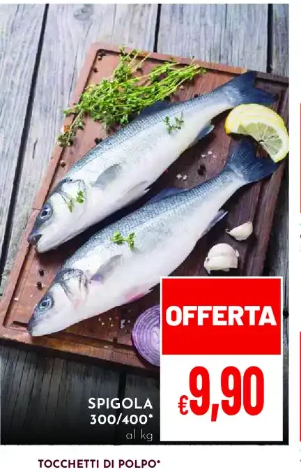 Spigola 300/400
