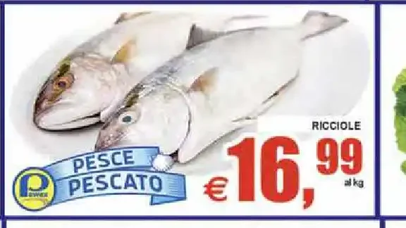 Ricciole