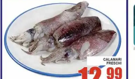 Calamari freschi