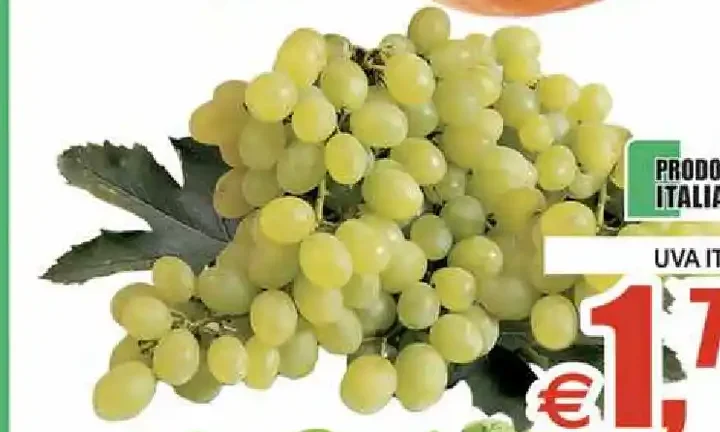 Uva Italia