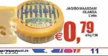 Jaciommaasdam olandese