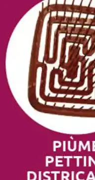 Piùme Fascia per capelli