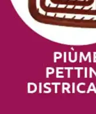 Piùme Pettine districante