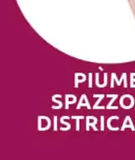 Piùme Spazzola districante