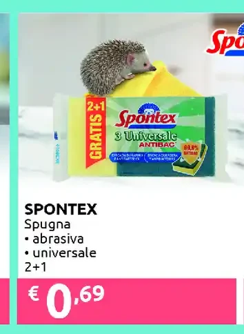 Spugna abrasiva