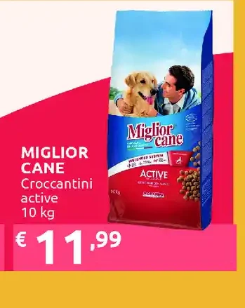 Croccantini per cani
