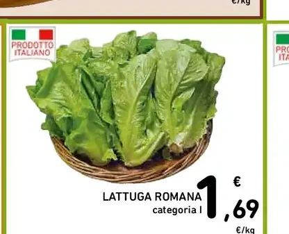Lattuga romana