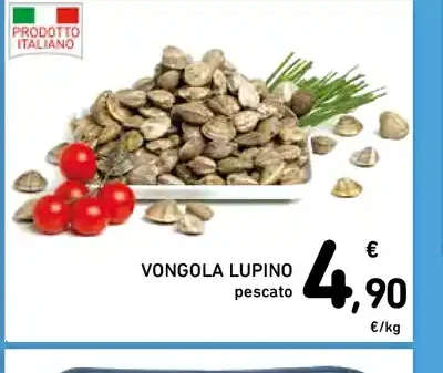 Vongola lupino