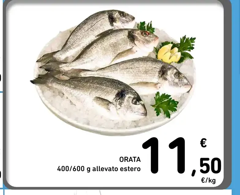 Orata