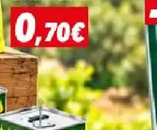 manina per raccolta olive