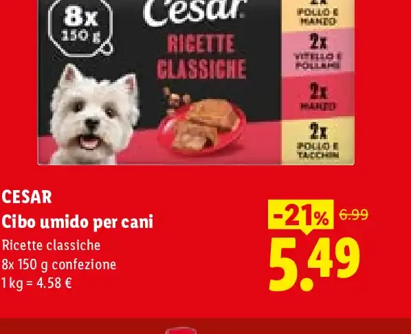 Cibo umido per cani