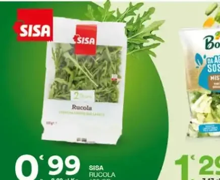 Rucola